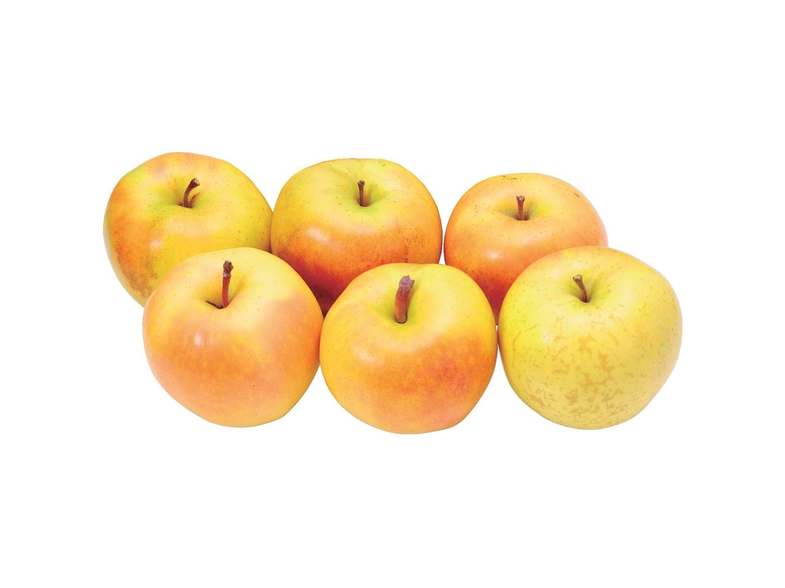 りんご 甘熟トキりんご（スレキズ・ツル割） 1箱1.6kg（6～9コ入・小玉