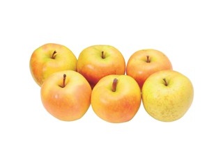 りんご出品 楽天市場】キリン 小岩井 純水りんご 1.5L×8本入り (1ケース