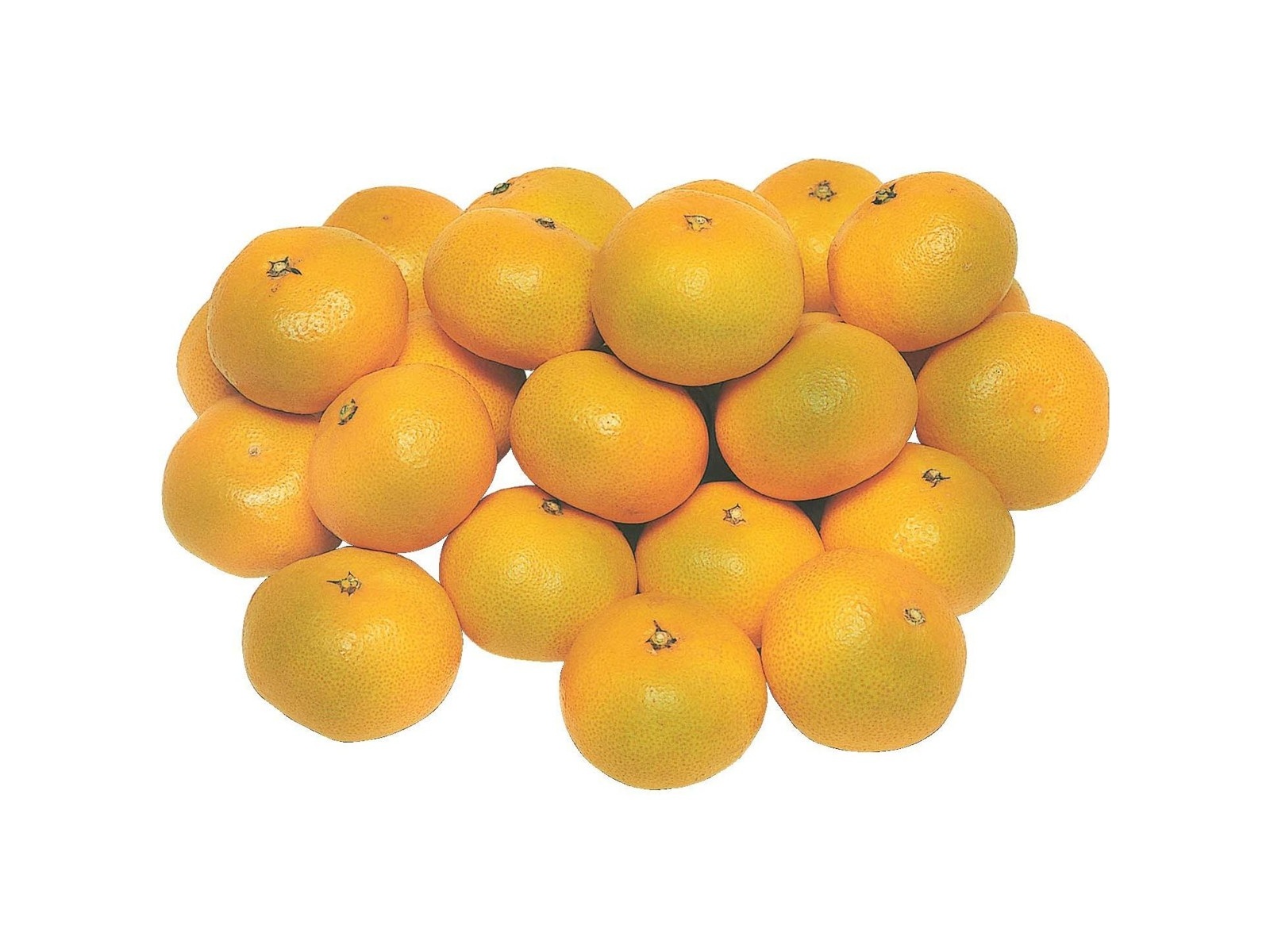 みかん@プロフィール必読ページ 福岡のこだわり選別みかん 1箱2kg（16～35コ入・2S～L）| コープ