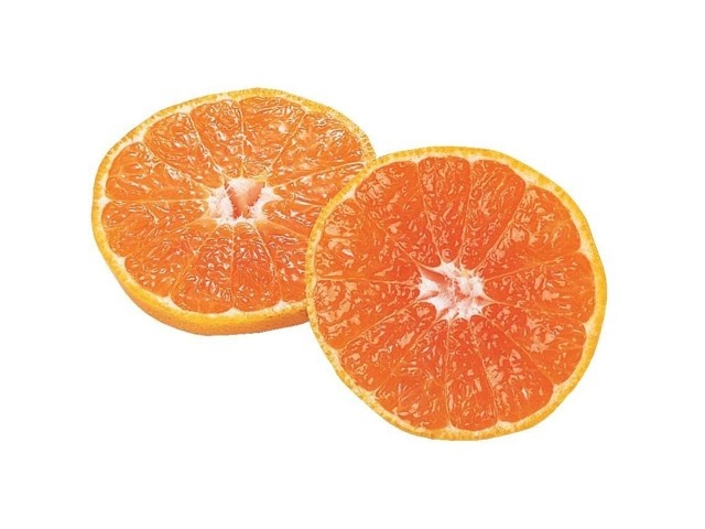 福岡のこだわり選別みかん 1箱2kg（16～35コ入・2S～L）| コープ