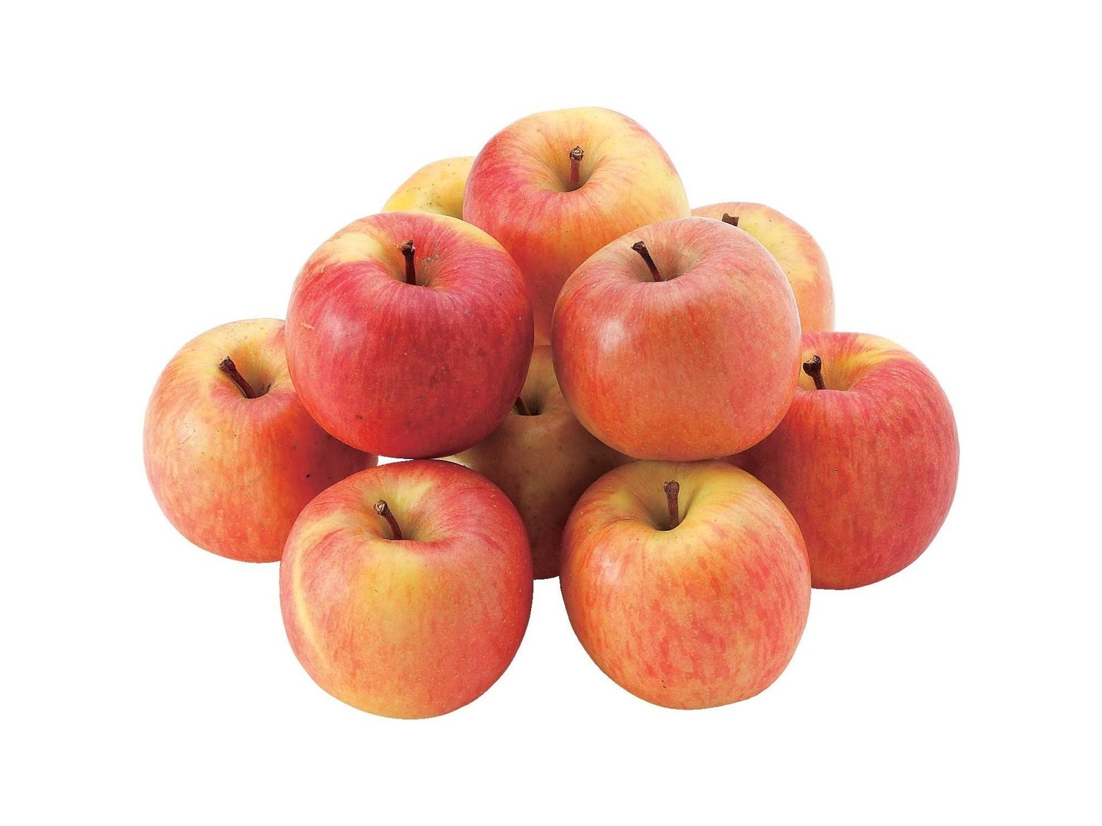 こみつりんご 1箱1.8kg（7～14コ入・小玉）| コープこうべネット