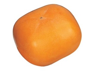 ２枚。Mee❤みかん❤１枚限定⭐中肉暖か☆Wボア❤シングルお布団❤橙 menue（メヌエ） 完全防水！折りたたんで持ち歩ける！パッカブル