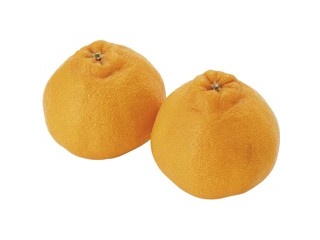 瀬戸内みかん（スレキズ有） 700g（5～9コ入・S～2L混合）| コープ