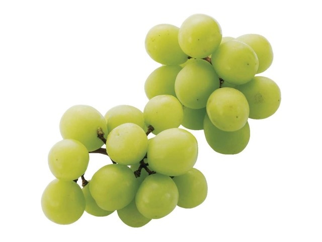 LCフレッシュマスカット セット JR PREMIUM SELECT SETOUCHI 清涼飲料水 岡山育ちのシャイン