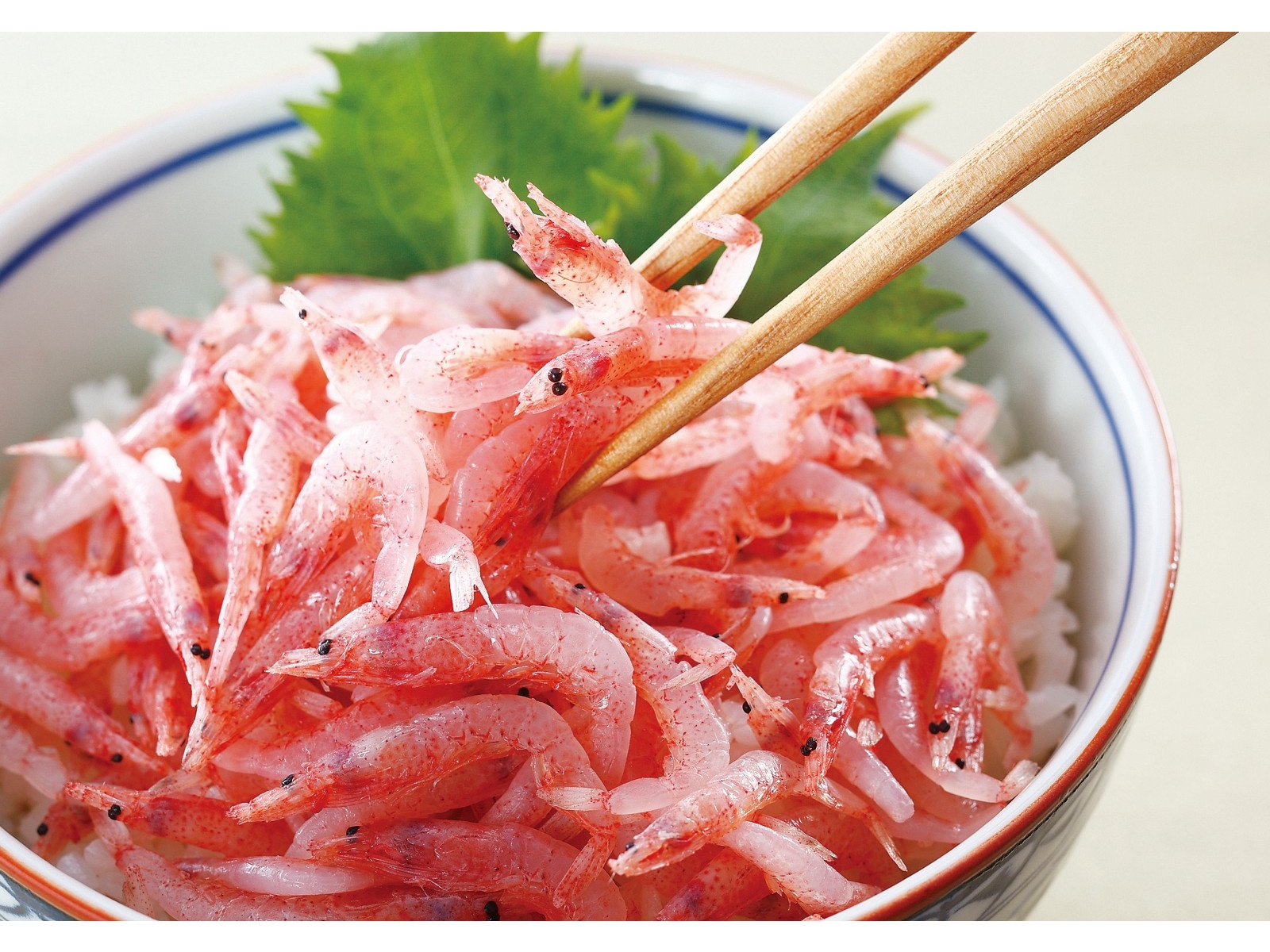 ＊えび＊ 赤海老 赤えび 4kg 超特大 L1 20〜40尾 業務用 2kg×2箱 赤エビ