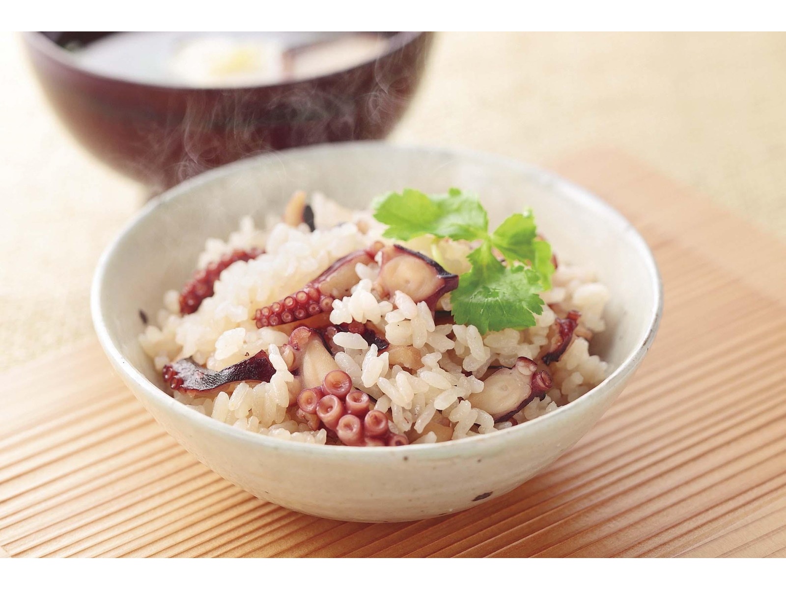 カネキ水産 明石だこ使用 たこめしの素 2合用（たこ100g、調味液
