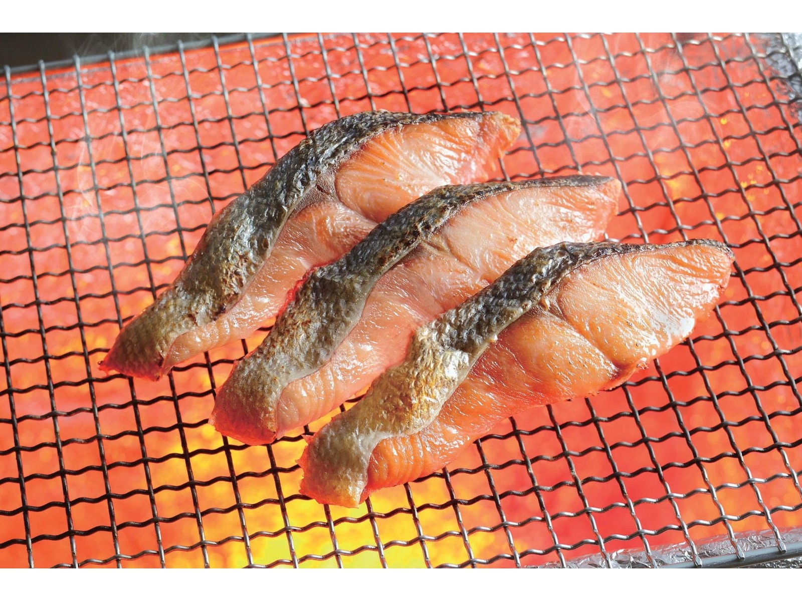 サーモン 高評価 4.8／ ギンサケサーモン【1kg】_T011-0905-2510 | 北海道