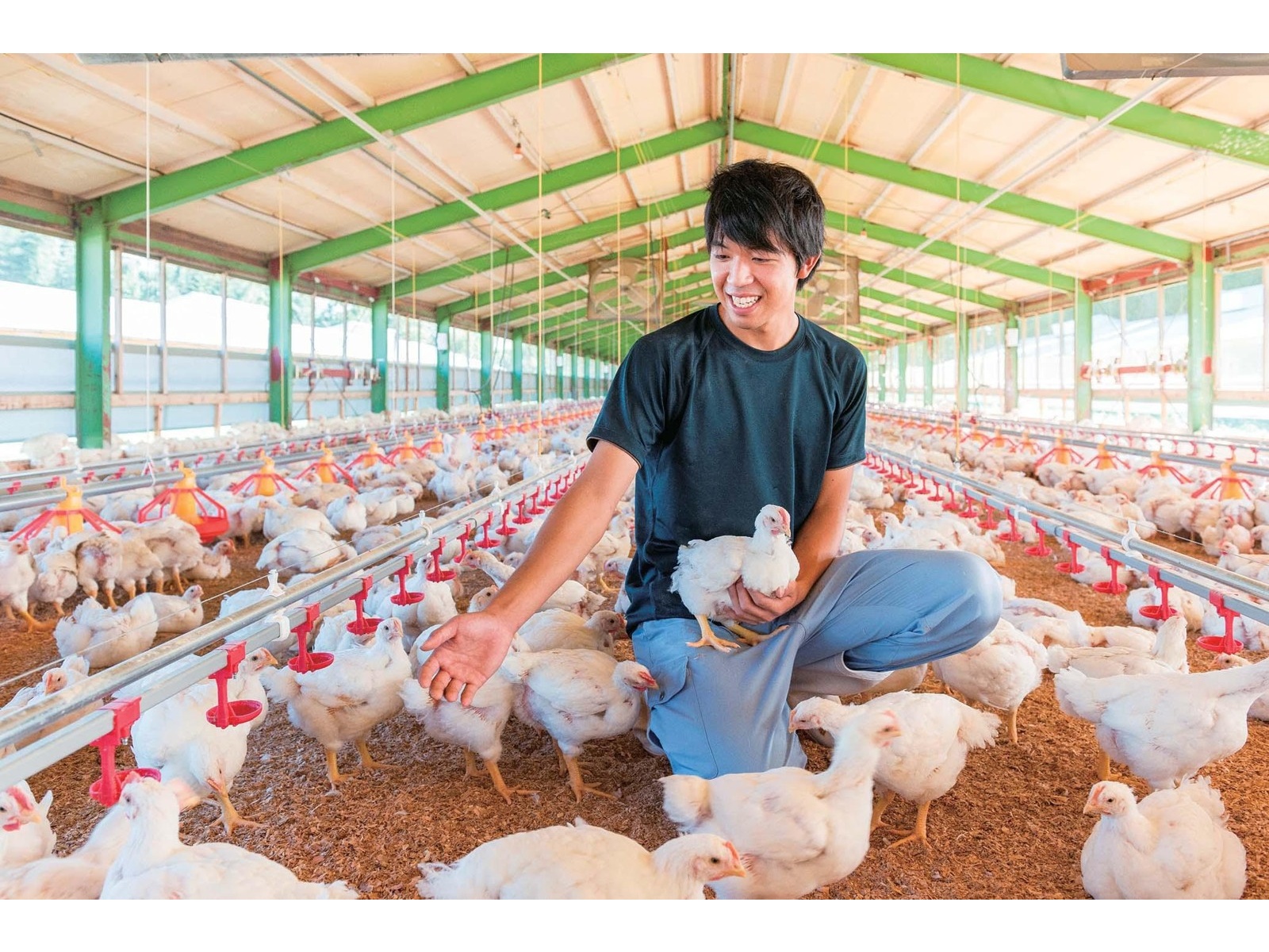 コープこうべ とり肉 むね肉パラパラミンチ 300g| コープこうべネット