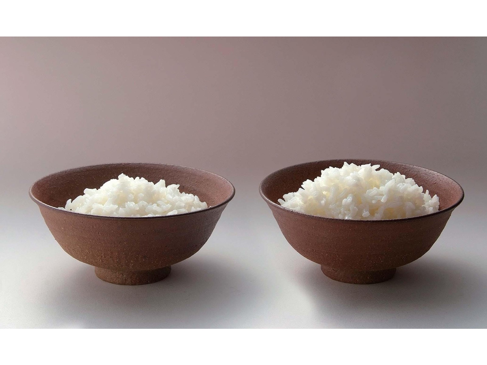 サトウ サトウのごはん コシヒカリ小盛り 150g×20パック組
