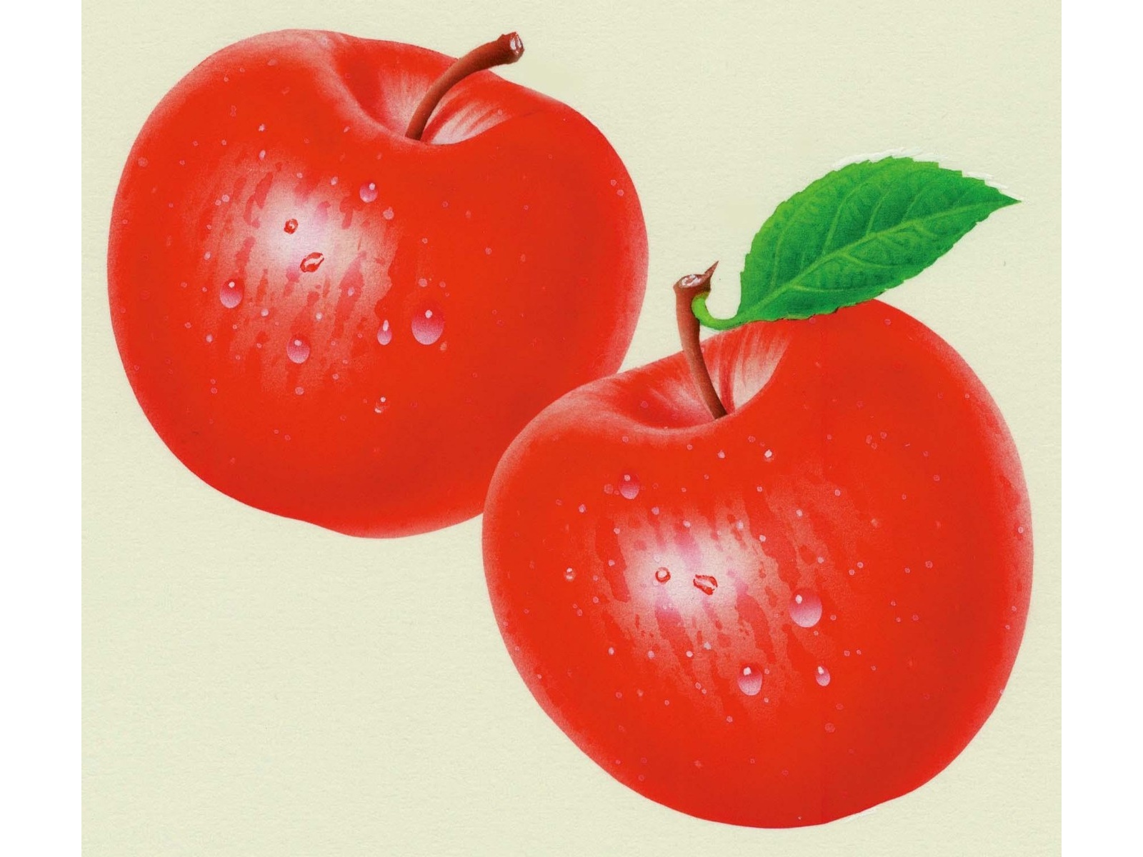 CO・OP アップル100％ スパークリング 1箱(200g×15缶入)| コープ