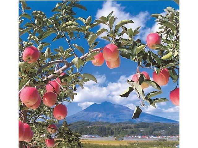 コープこうべ さわやかりんご津軽産(ストレート) 160g| コープこうべネット