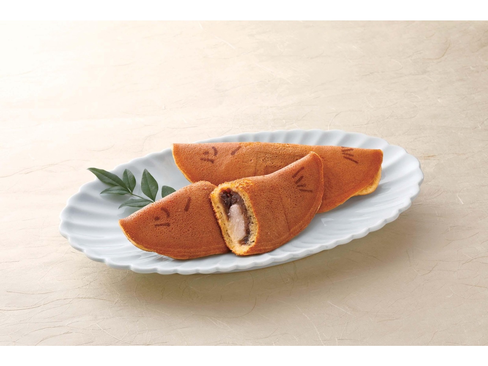 わかちゃんページ 馬鹿げていよう