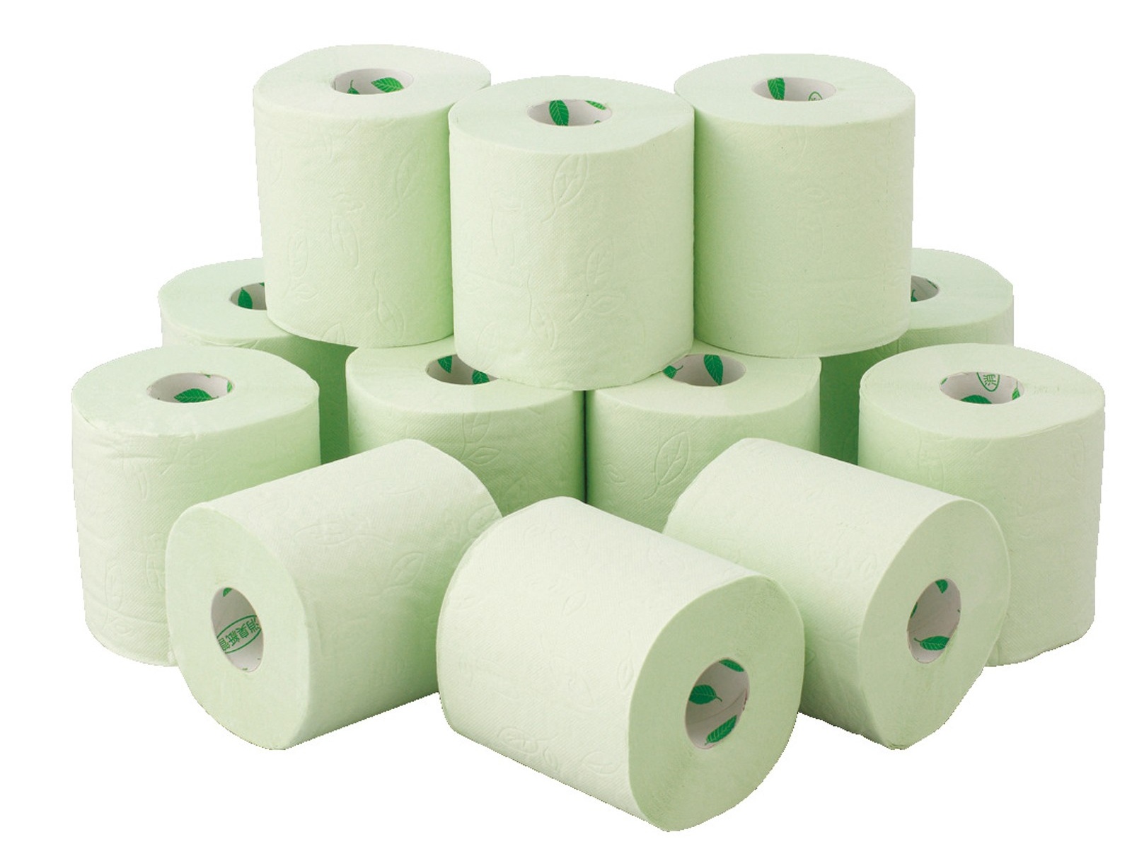 丸富製紙 緑茶の力ペンギンティーフラボンダブル(2枚重ね) （35m×12