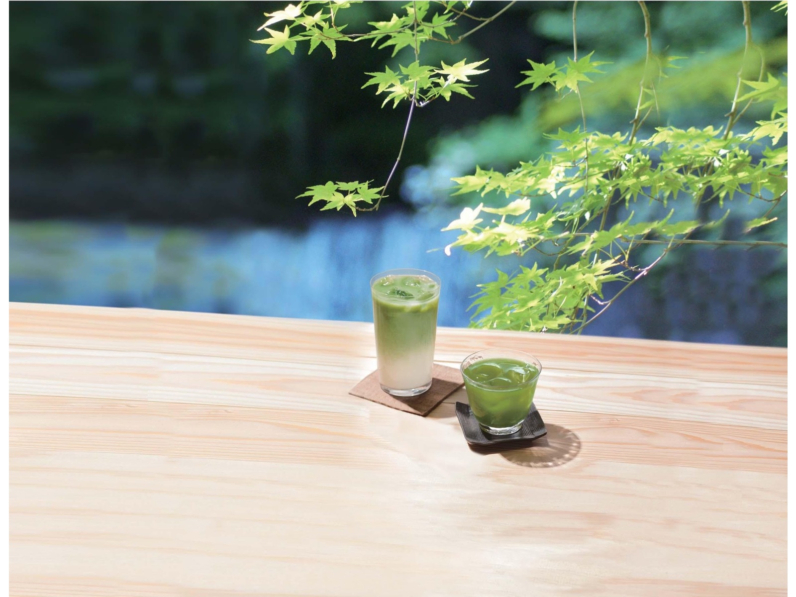 エルベ・プランズ 京の抹茶青汁 1箱(2.5g×50本入)| コープこうべネット