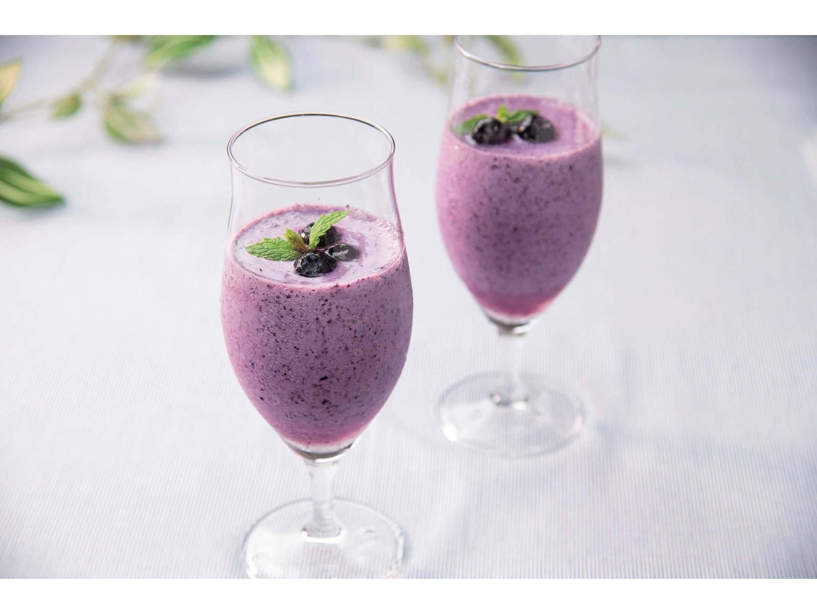 ウィズメタックフーズ ブルーベリー 500g| コープこうべネット