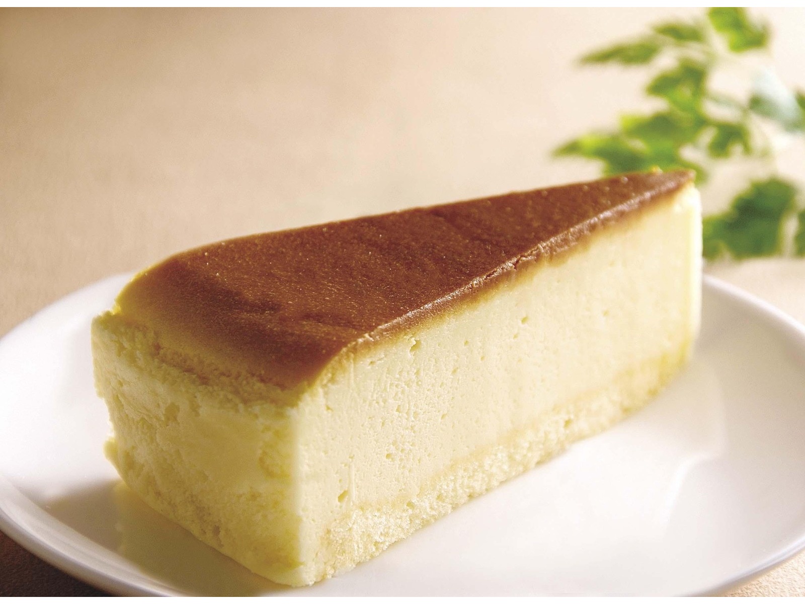 五洋食品 ベイクドチーズケーキ 1箱（40g×6コ入） | コープこうべネット