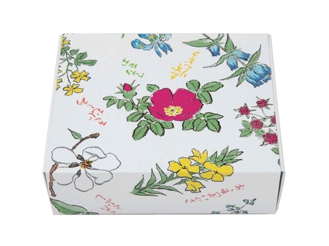 六花亭 秋のおやつ屋さん 10コ入| コープこうべネット