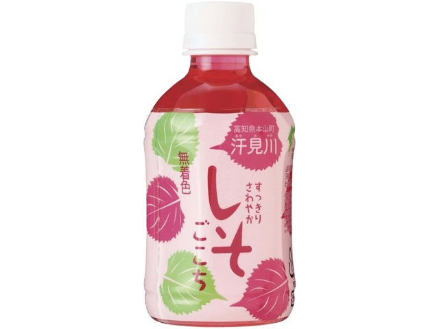 ここやしさま専用 漣［黒茶］【紳士扇子】 - 京扇子の老舗｜ギフト 扇子の山二