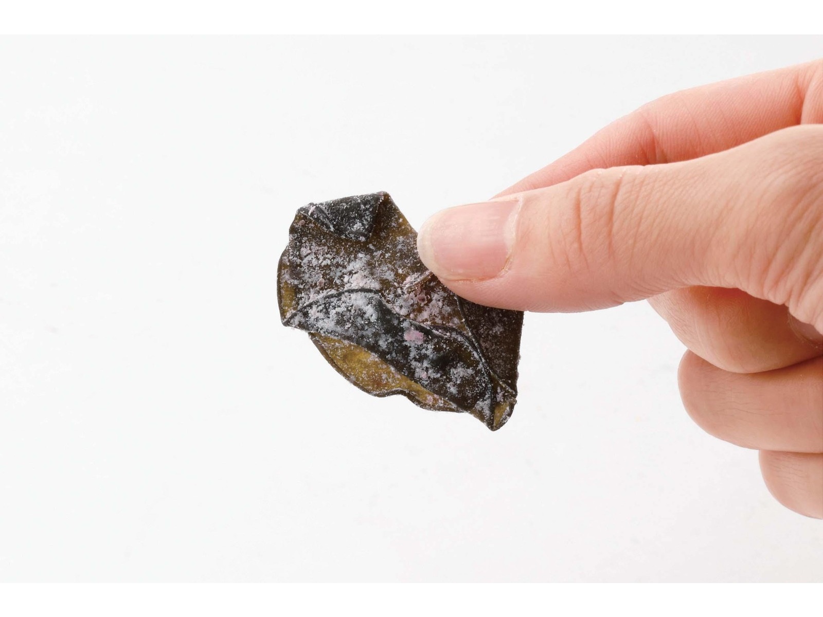 昆布森 おしゃぶり芽かぶ梅味 75g| コープこうべネット