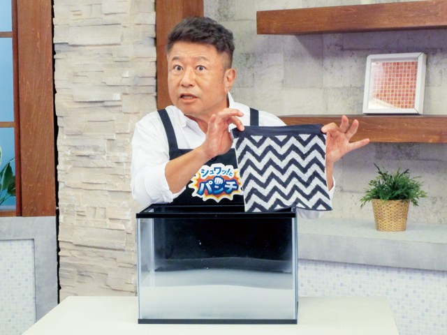 ✤当日発送✤ シュワッとパンチ 300g【お試し】☆取扱説明書