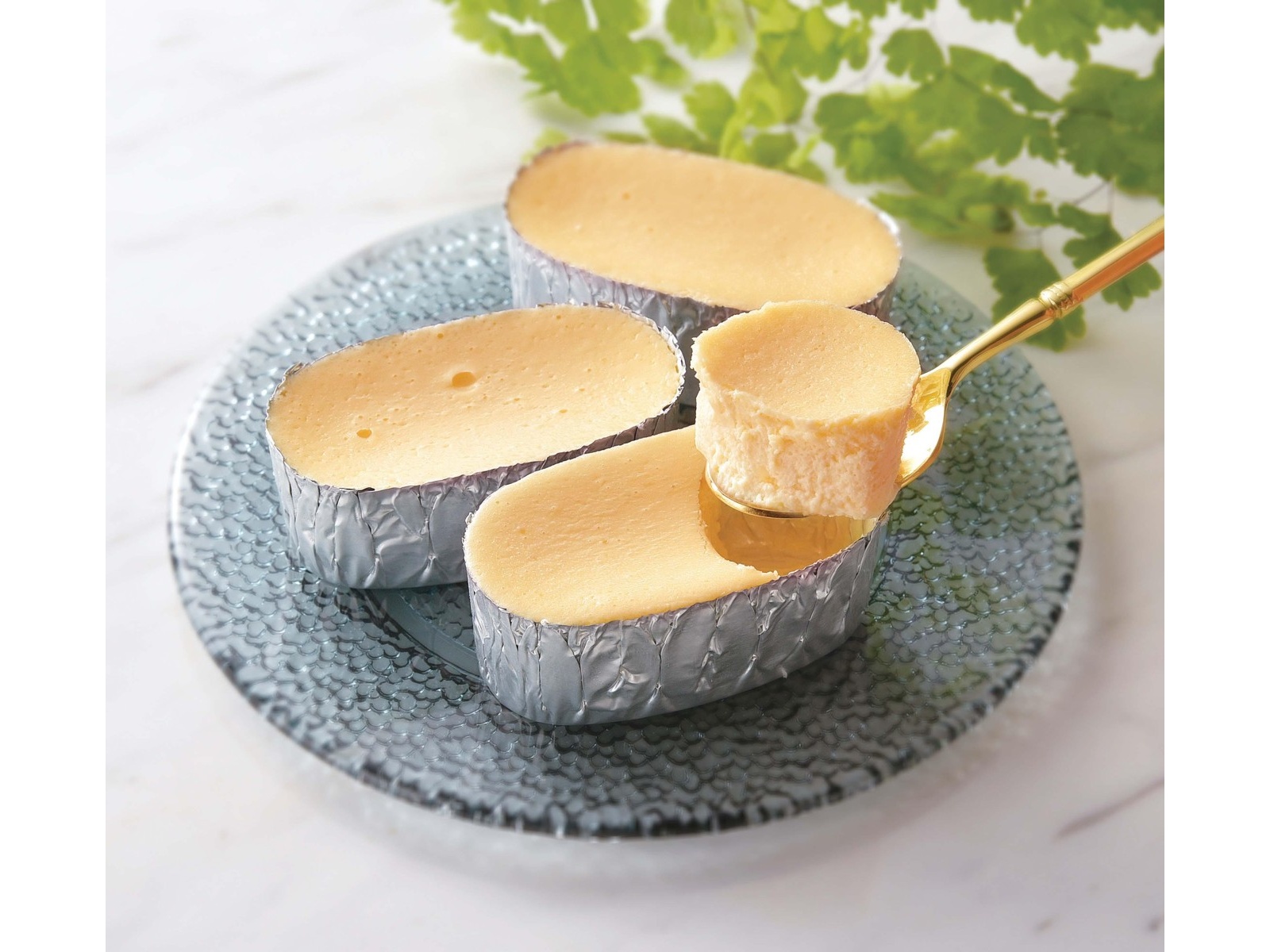 ボストン 広島レモンチーズケーキ 1箱（6コ入）| コープこうべネット