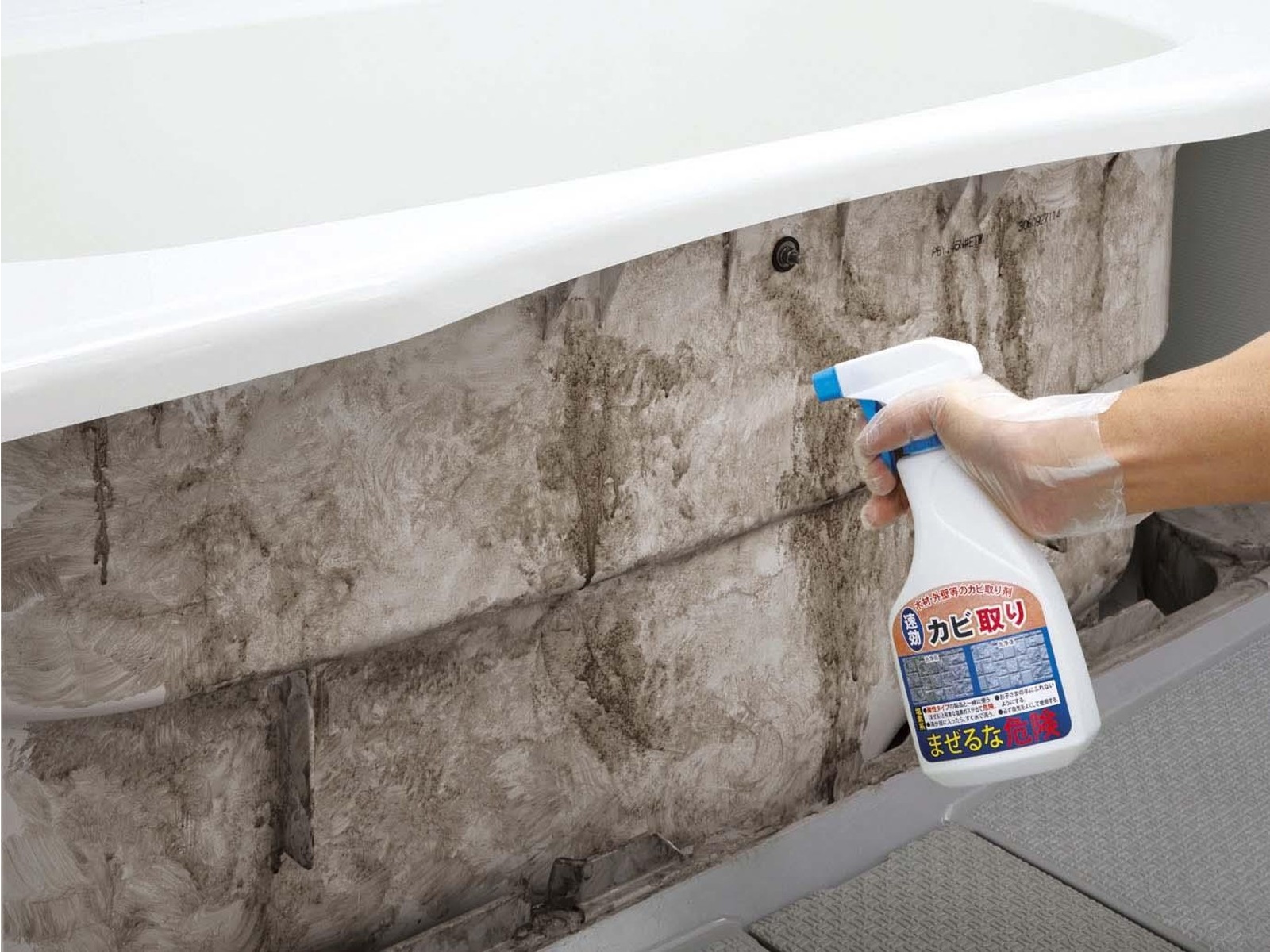 かびかび 1．カビの基礎知識 その①：カビってなんだろう？ - トルネックス