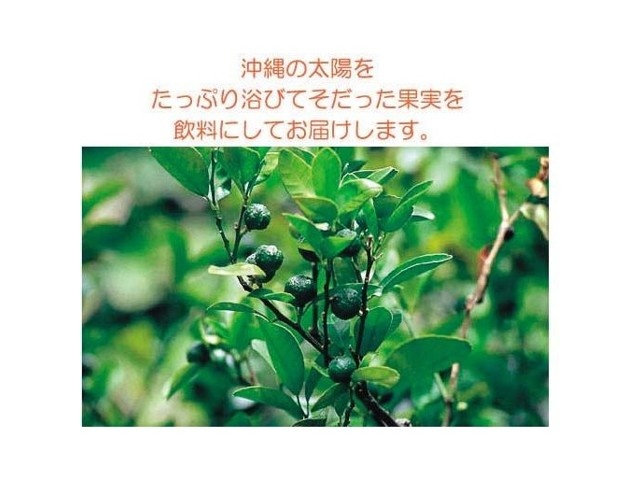沖縄食の大百科　セット　1.2.3.4号　美品　沖縄野草 沖縄食の大百科 セット 1.2.3.4号 美品 沖縄野草