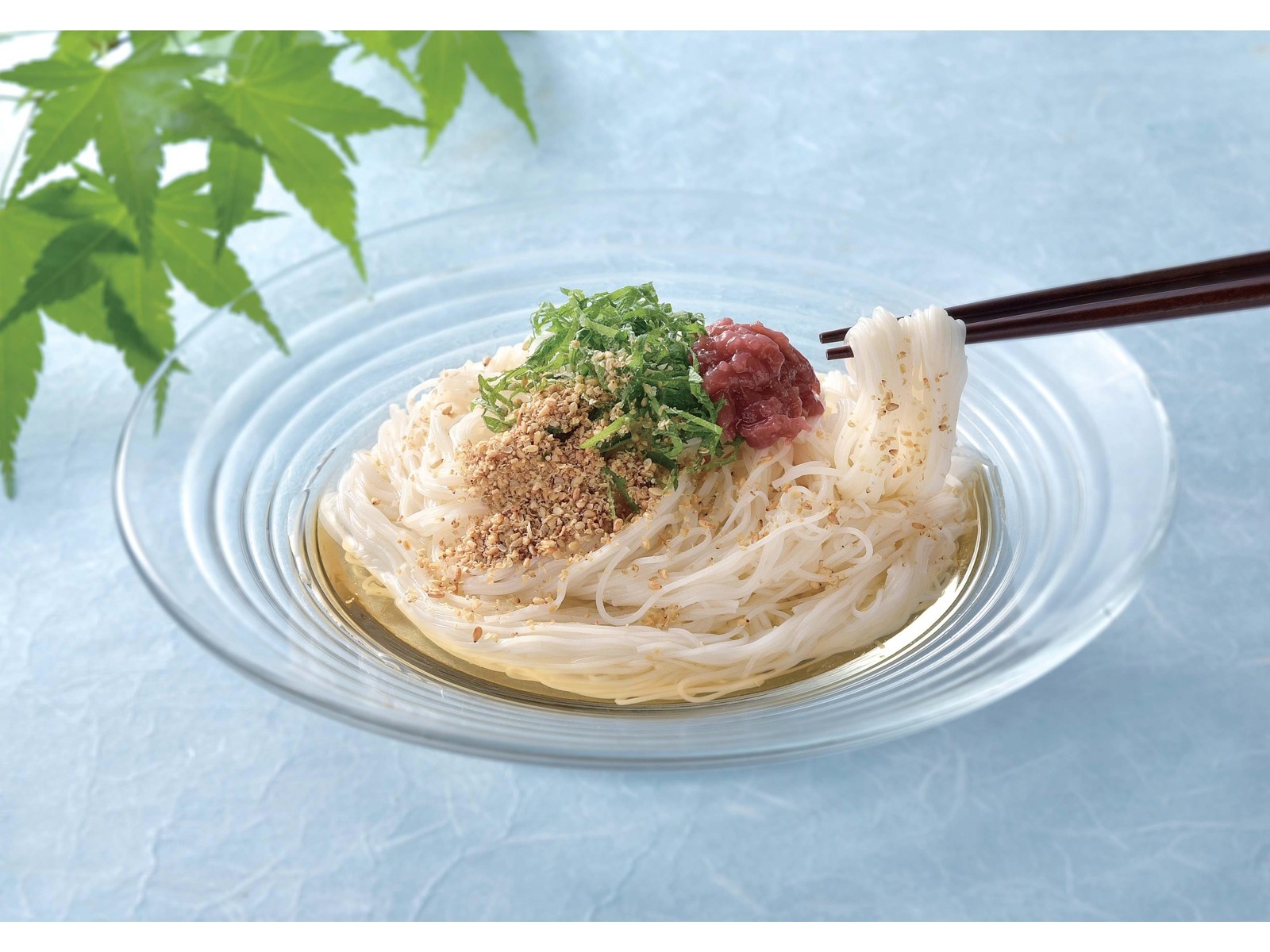 三輪そうめん小西 三輪素麺 杉鳥居 極細 50g×4束入| コープこうべネット