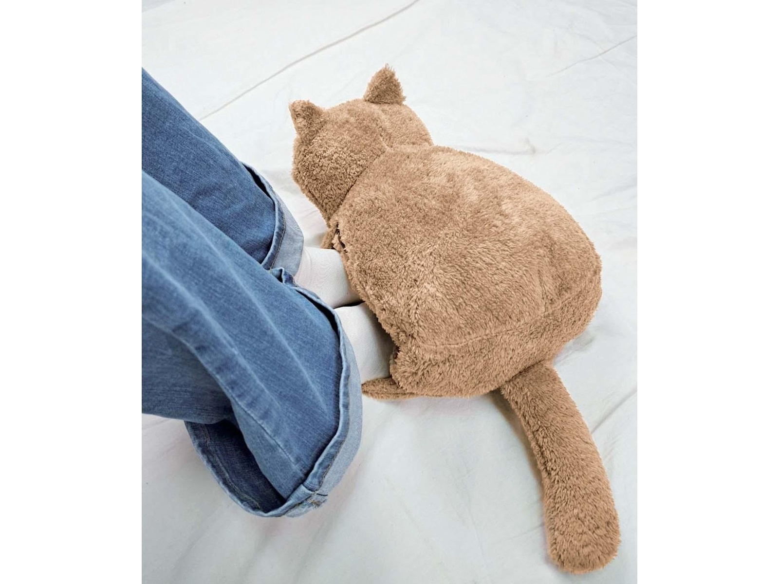 蓄熱式湯たんぽぽかにゃん 1コ チャタロウ| コープこうべネット