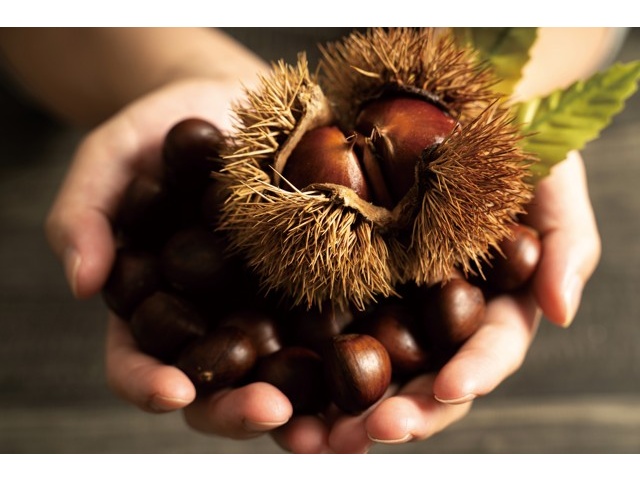 栗のベンチ78　しょうちゃん❕いい栗の耳付き一枚板で杢目が綺麗ですよ 楽天市場】【栗原はるみ/キッチン雑貨/ギフト包装可】 木製鍋敷き