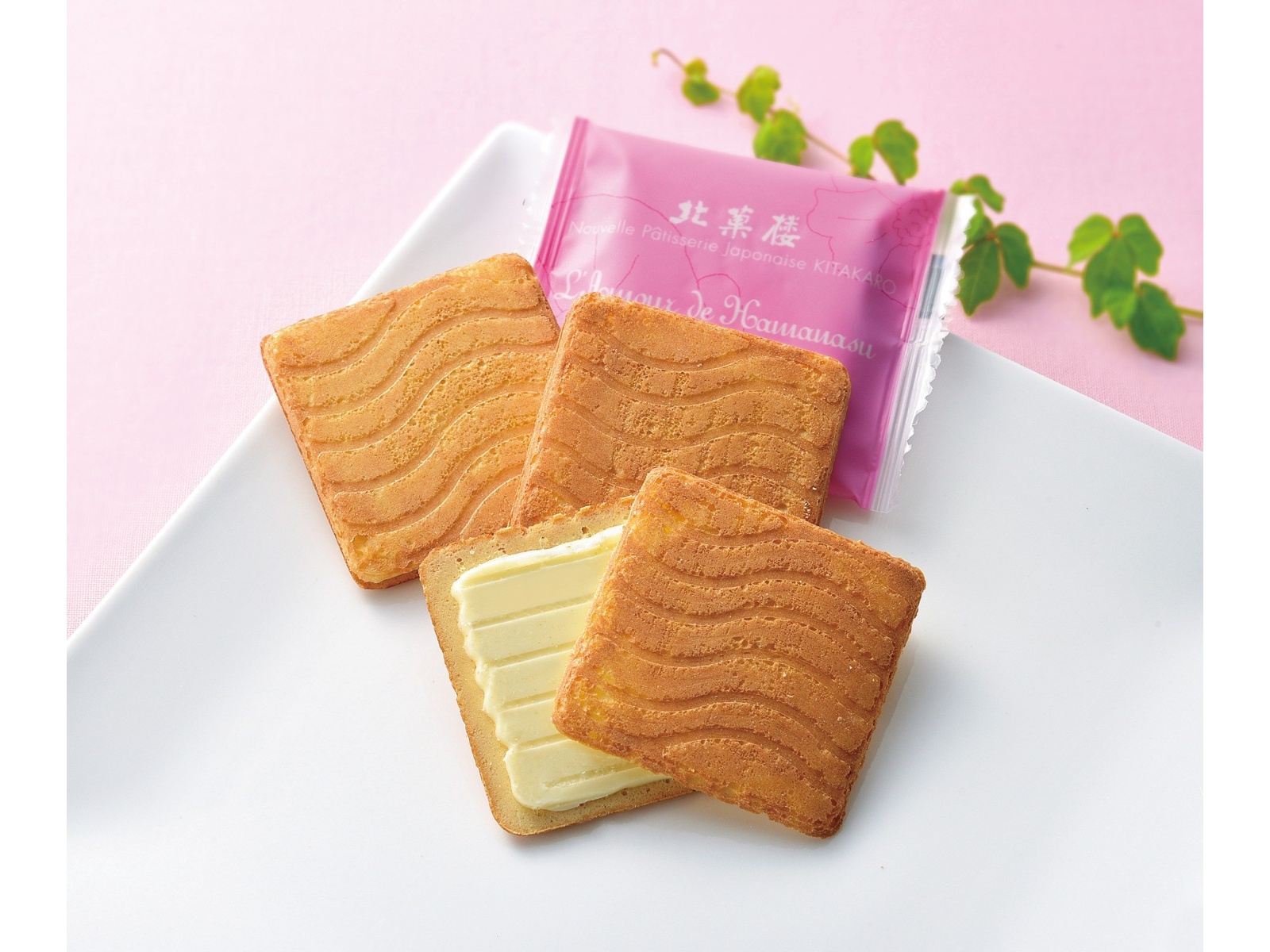 北菓楼 はまなすの恋（ホワイトチョコレートウィッチ） 1箱（12枚入