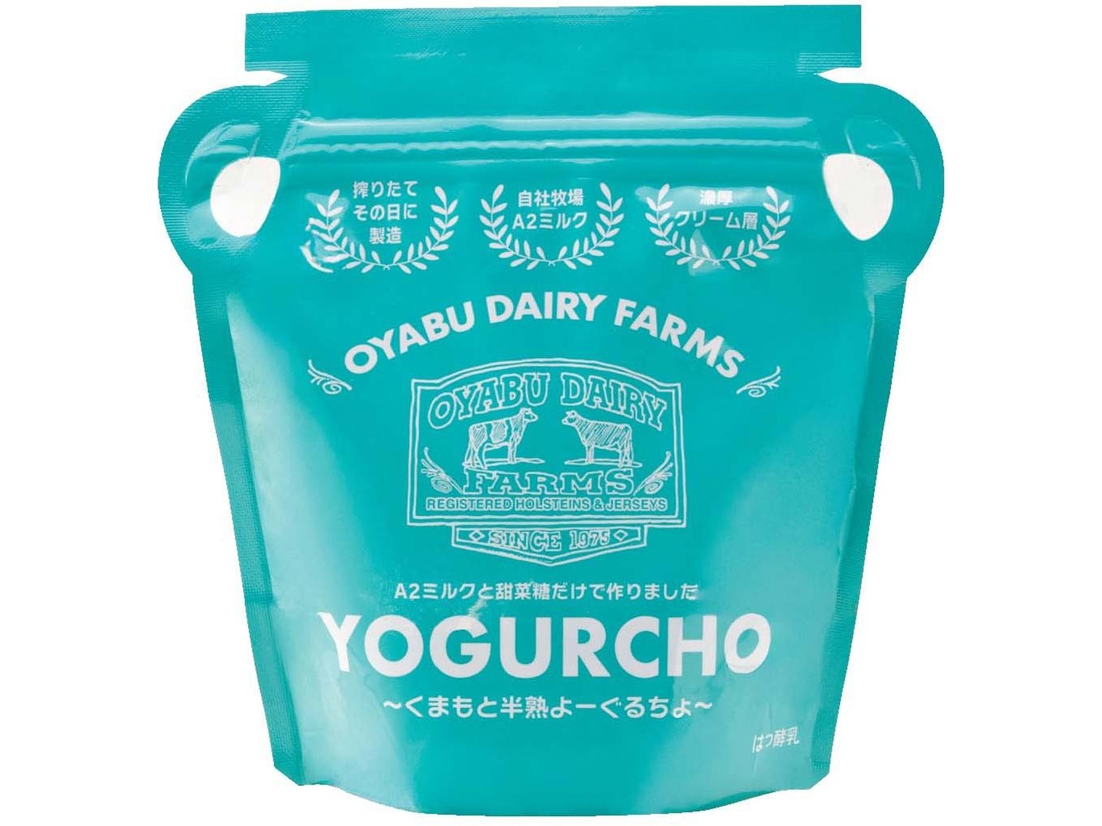 オオヤブデイリーファーム くまもと半熟よーぐるちょ加糖 1袋（350g