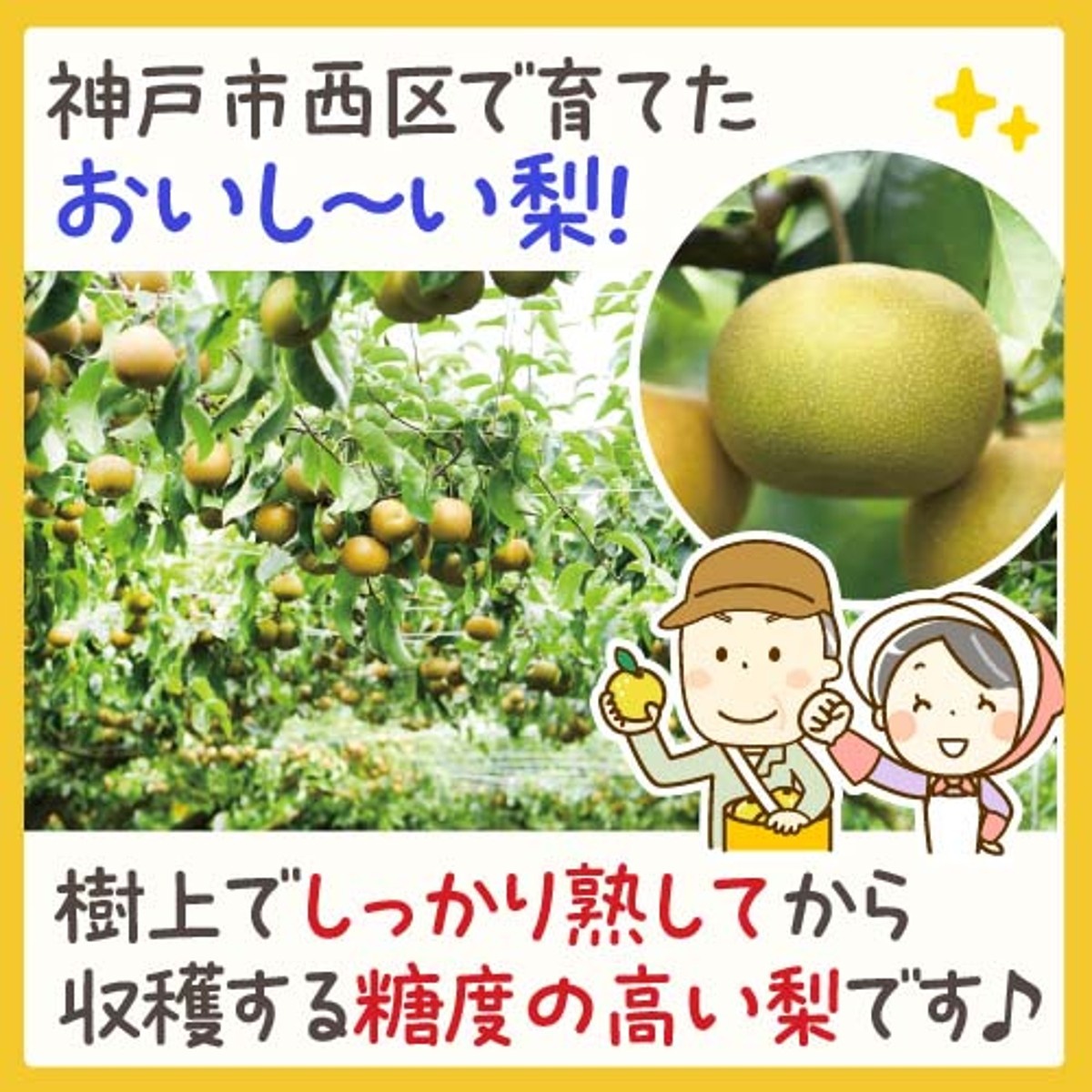 梨 デザートプラン もったいナイスなミルキーあいす 神戸の梨 109ml