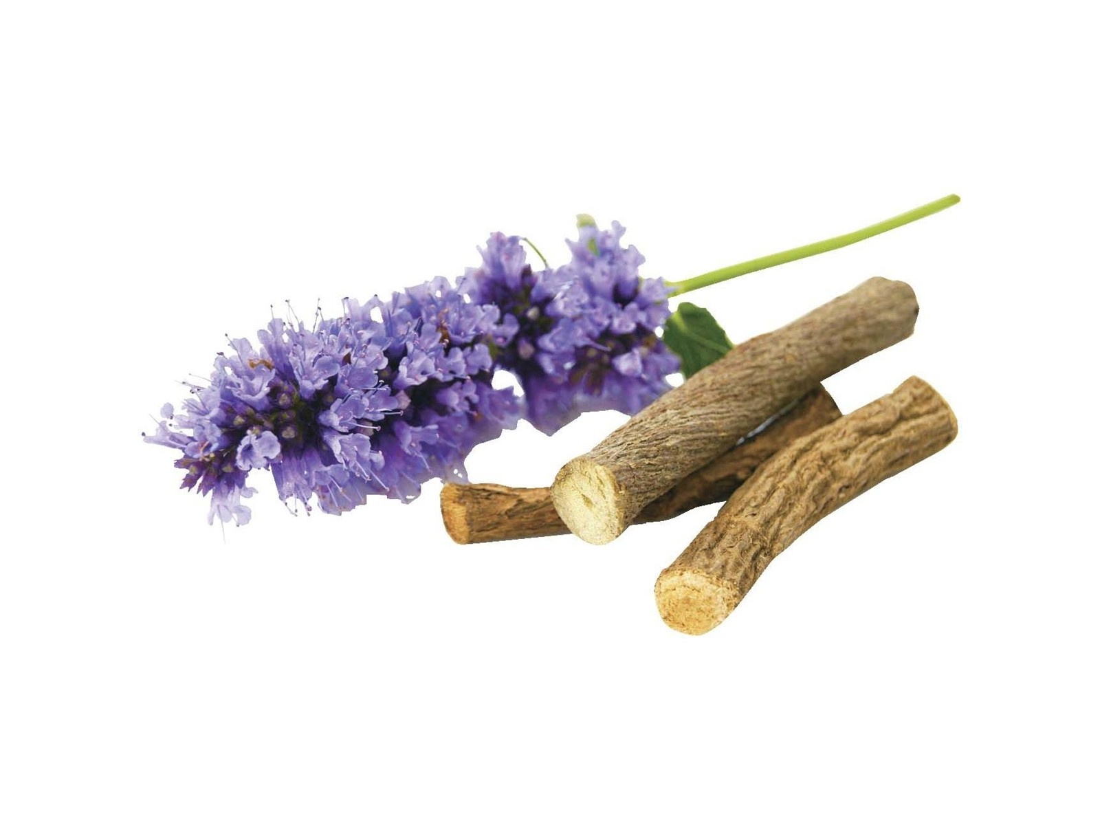 常備浴 20ml×4袋| コープこうべネット