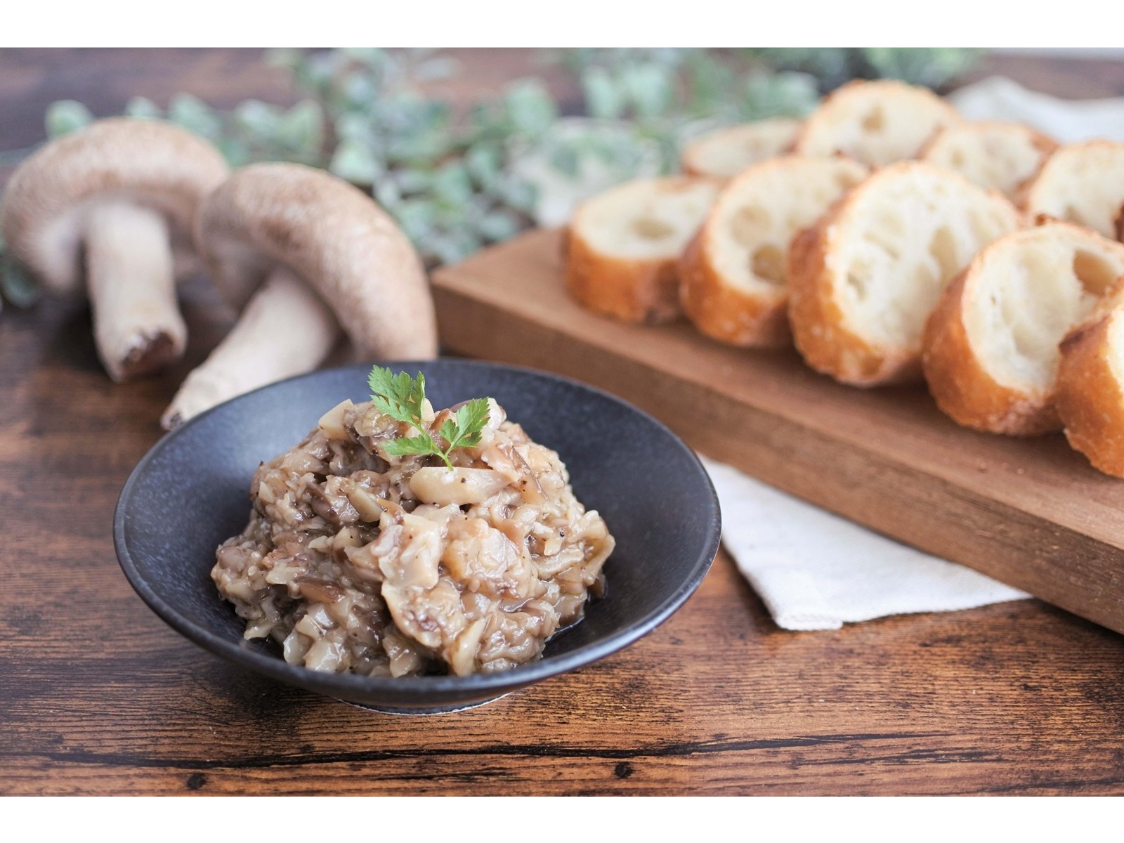 たまのろ　鉢ごとミント　バリエガータ　斑入り　ミドルカット NEgamieru STANDARD】 透明スリット鉢NEgamieru（ネガミエル）に