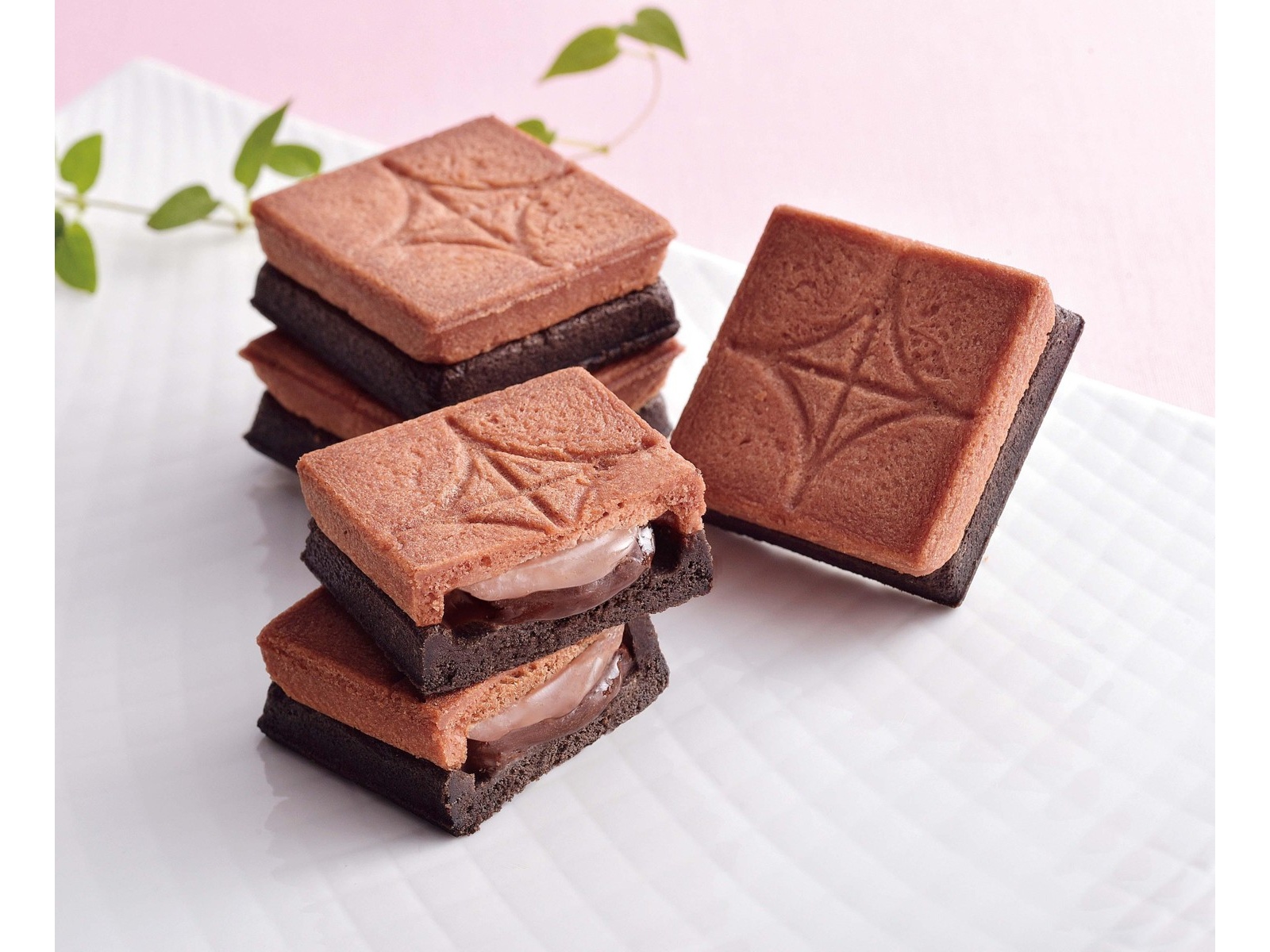 BAKE バターサンド〈苺ショコラ〉 1箱（5コ入）| コープこうべネット