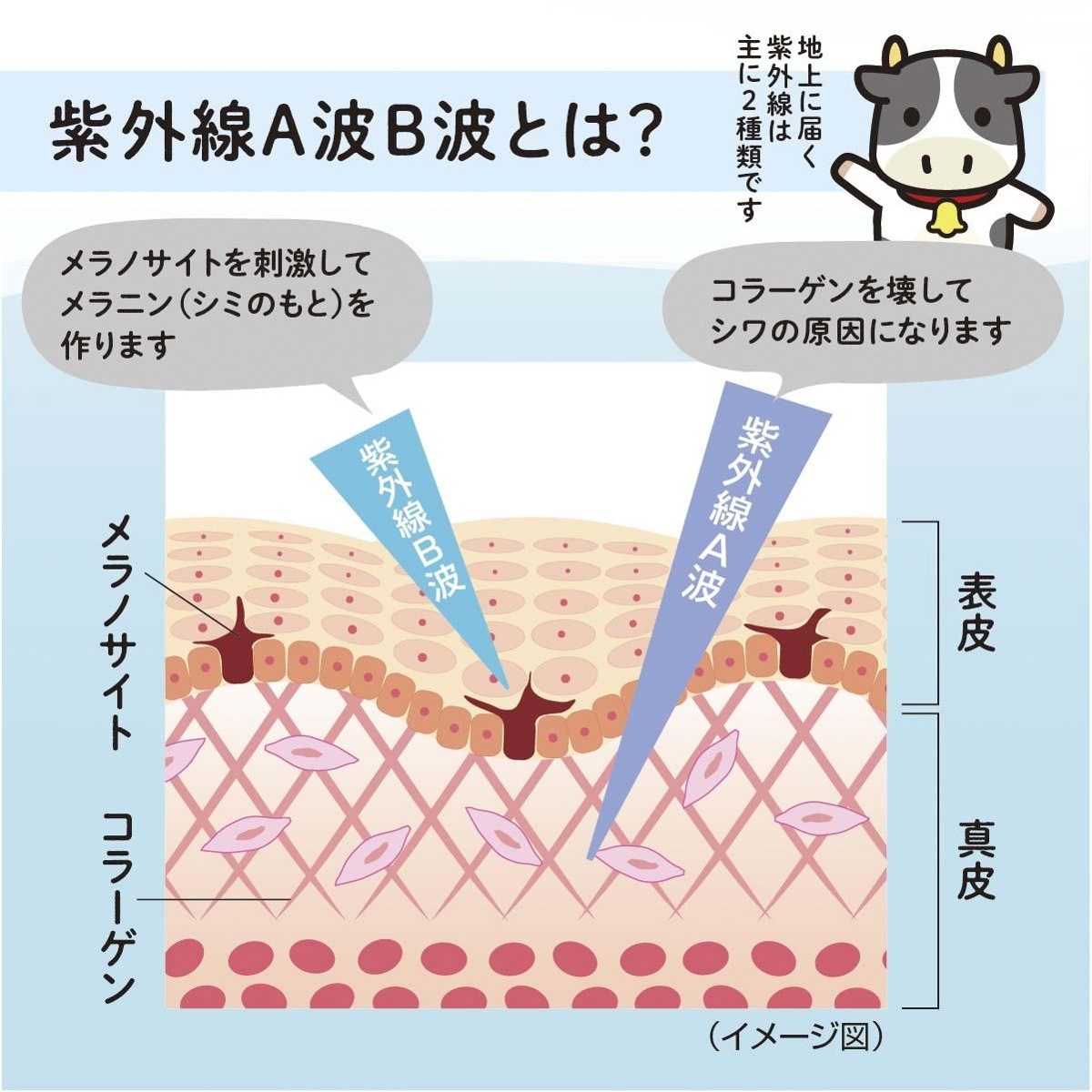 マットシフォン UVホワイトニングベースN<医薬部外品> / キス