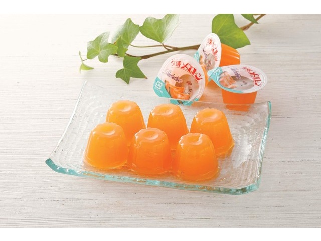 648Pで交換】北辰フーズ 夕張メロンひとくちゼリー 1箱（21g×15コ入