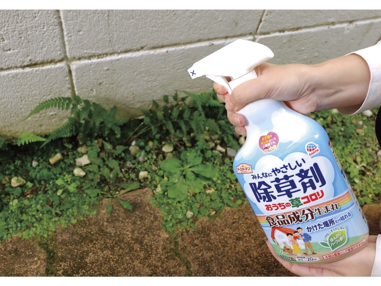 《期間限定！ポイントアップ！》Stefen Kuhnla #1023 チェロ弓(マンスリープレゼント) バイオリンセット グリーンバイオリン 4⁄4 プロ仕様の象嵌細工楽器(1⁄4