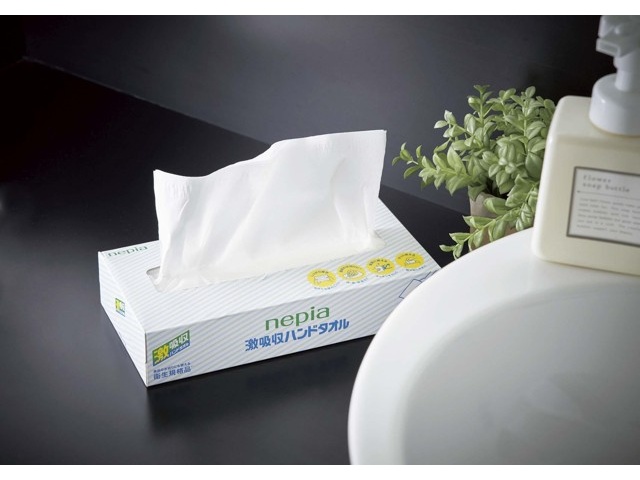 （まとめ）ネピア ネピア激吸収ペーパーふきん150組×30P〔×5セット〕 まとめ）ネピア ネピア激吸収ペーパーふきん150組×30P〔×5セット〕