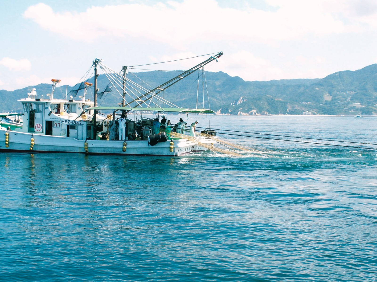 磯じまん ちりめんちゃん 65g| コープこうべネット