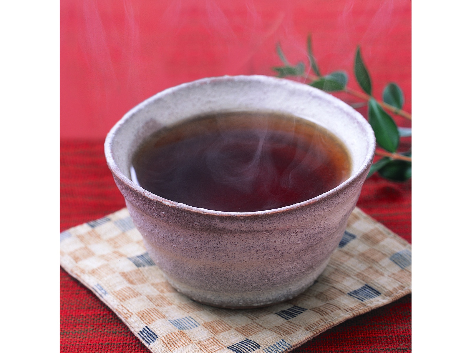 共栄製茶 森半 ほうじ茶パック 1袋(8g×30ﾊﾟｯｸ入) | コープこうべネット