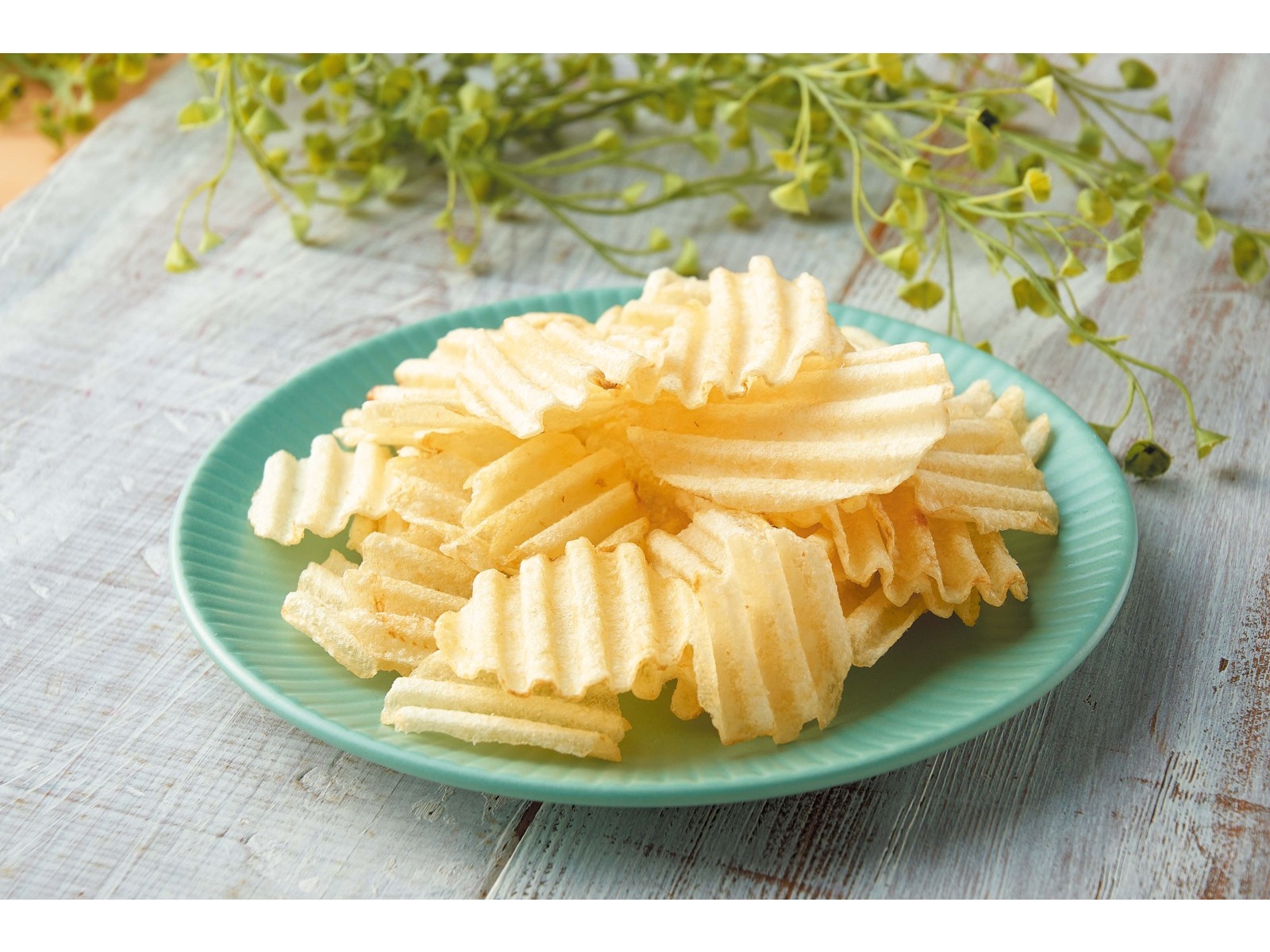 カルビー 冬ポテト粉雪ソルト味 61g| コープこうべネット