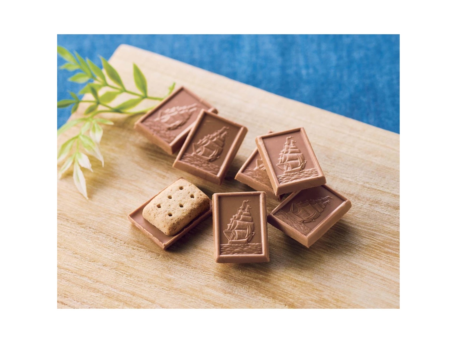 チョコ サクサクチョコパイ<たっぷりチョコ> ｜ ミスターマックス
