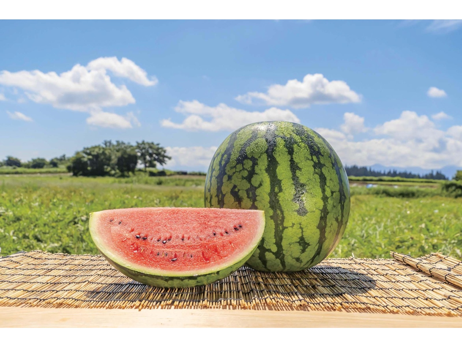 キリン 氷結モッタイナイ尾花沢すいか 350ml（缶）| コープこうべネット