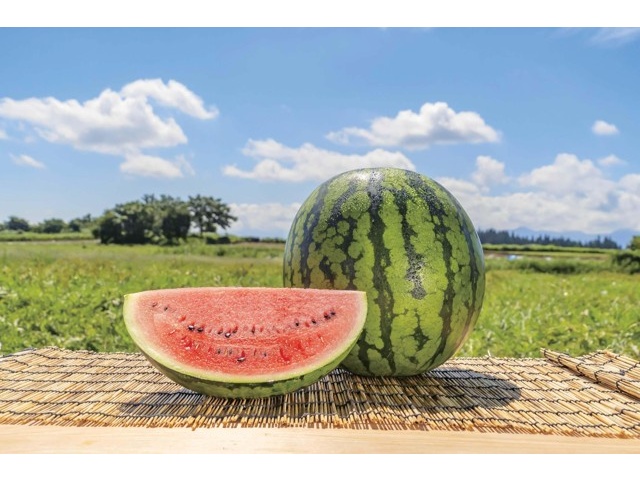 キリン 氷結モッタイナイ尾花沢すいか 350ml（缶）| コープこうべネット