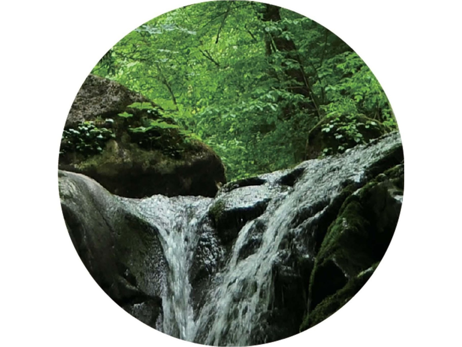 CO・OP ＆サントリー オールフリー 1箱（350ml×24缶入）| コープこうべ