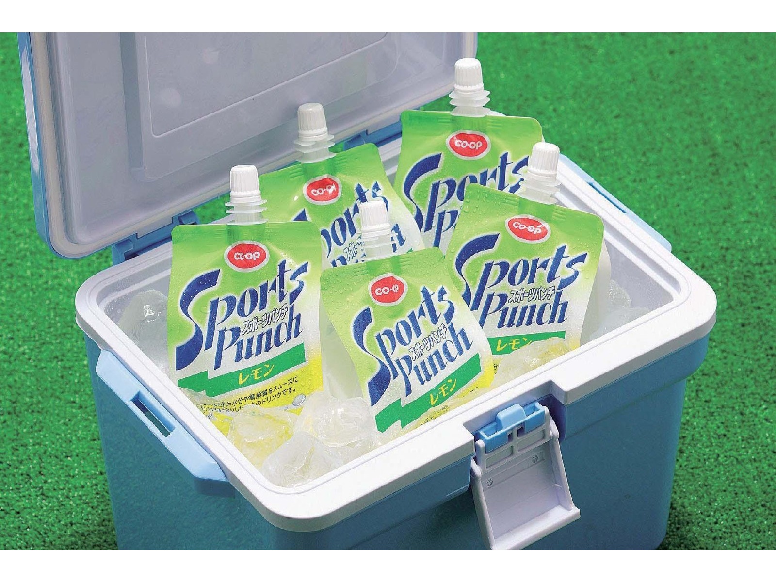 CO・OP 大山南麓の氷 1.1kg| コープこうべネット