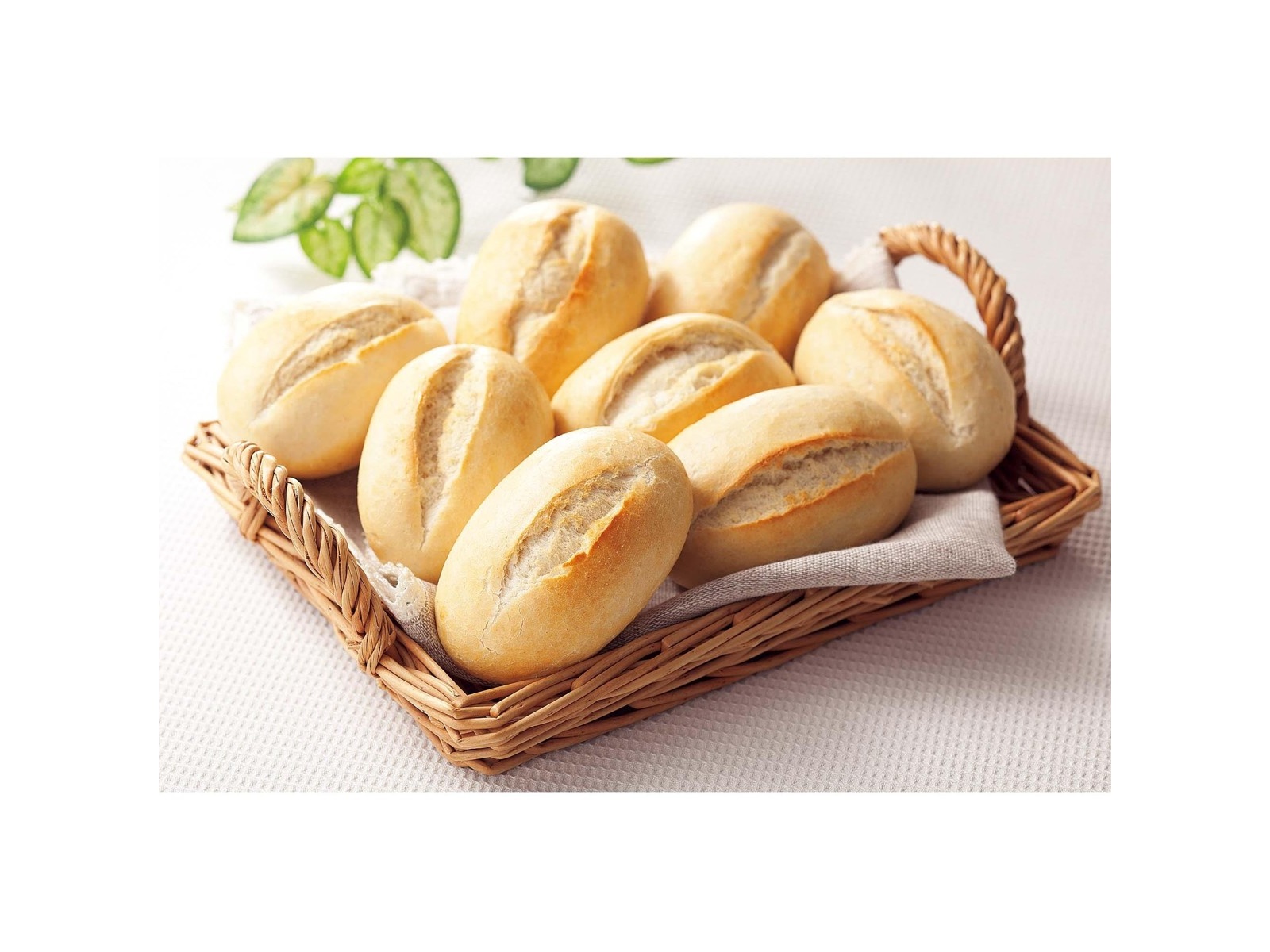 CO・OP ＆MANTINGA ミニフレンチロール 360g（標準8コ入） | WEB