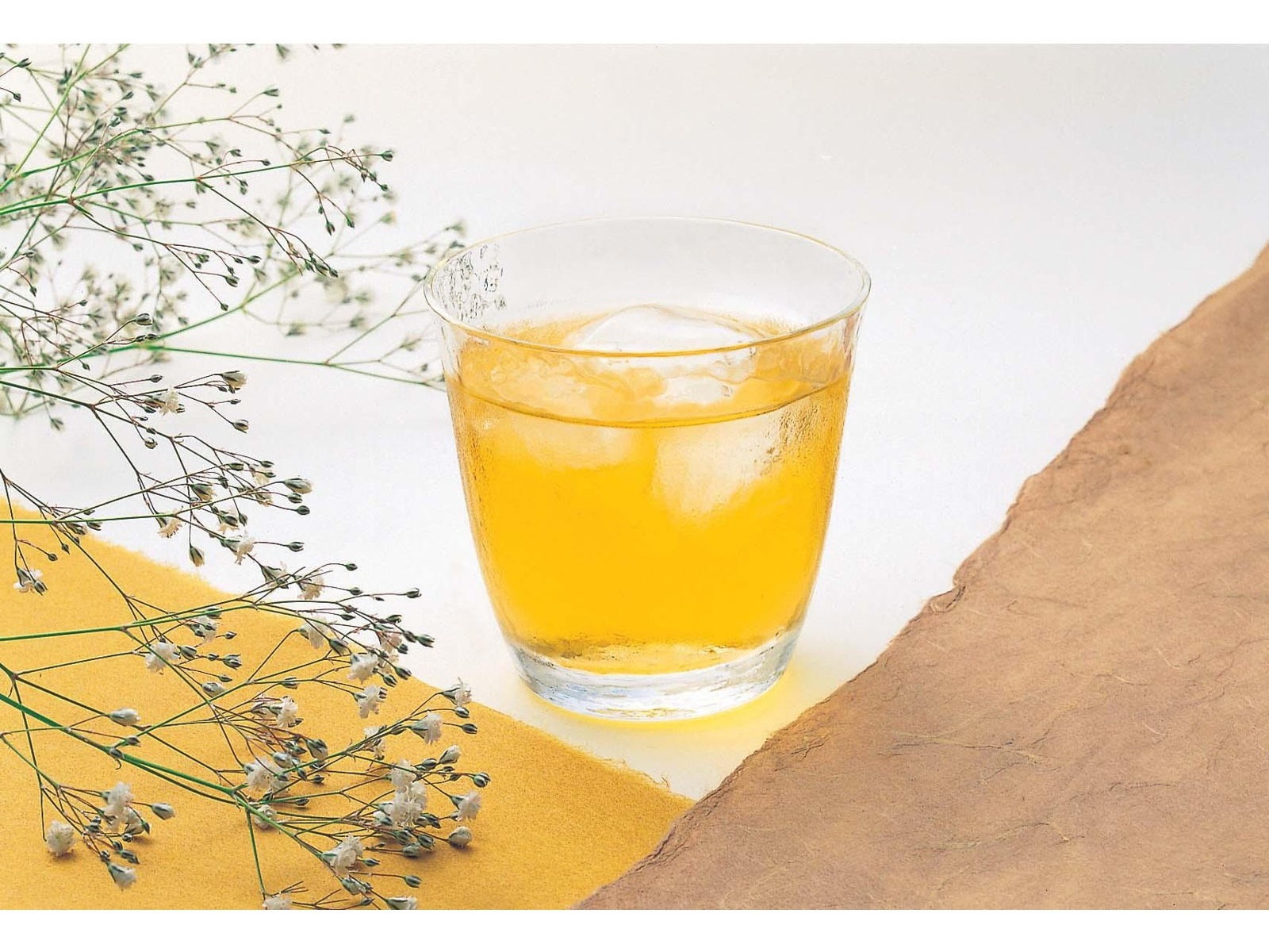 CO・OP 緑茶 1箱（525ml×24本入）| コープこうべネット